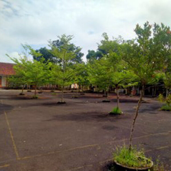 Tempat Parkis Siswa